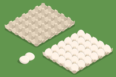 Isometric Chicken Egg Packaging. Eggs in a cardboard box isolated on a background. Chicken egg is a...