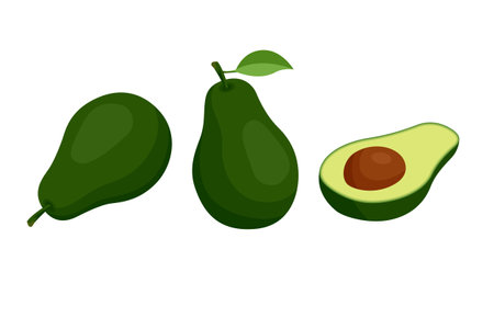Isometric Avocado cut in half isolated on white. Avocado is a creamy, nutrient-dense fruit rich in healthy fats, fiber, and vitamins. It s known for supporting heart health, skin, and digestionのイラスト素材