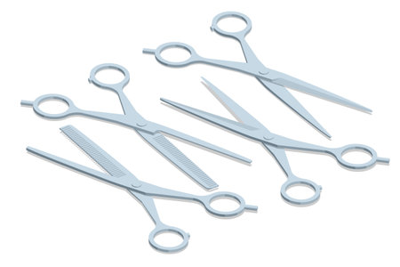 Isometric vector illustration of professional hair cutting scissors and thinning shears. Essential...