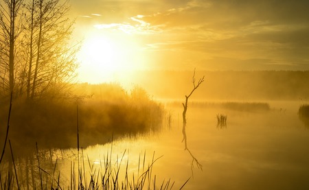 Morning fog on a lakeの写真素材