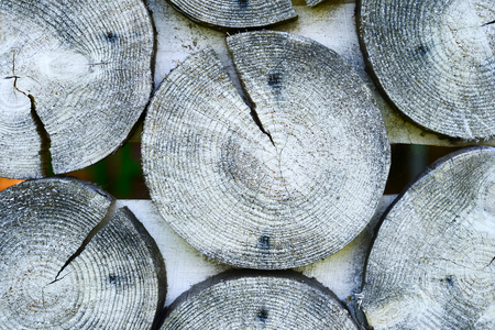 Wooden texture from the firewood of the Alpine winterの写真素材
