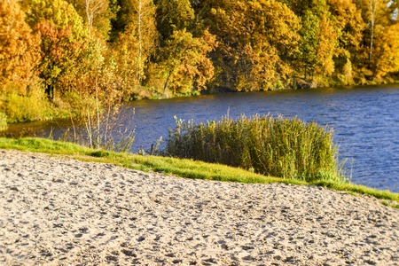 Blurred autumn landscape of the lake with an empty beach. Background. The photo was taken on a soft lens.の写真素材