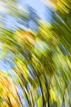 Blurred abstract background of autumn leaves on trees in motion. The concept of rotation in nature in autumn.の写真素材