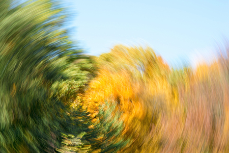 Blurred abstract background of autumn leaves on trees in motion. The concept of rotation in nature in autumn.の写真素材