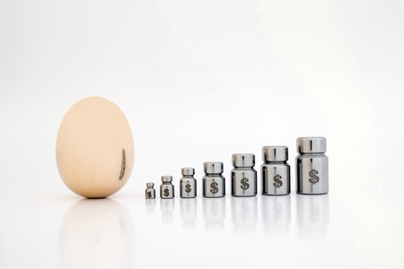 Golden metal egg and lined up weights with laser engraved dollar symbols on a light gray background.