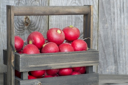 Red radish close-up in a wooden box on a rustic background of wooden planks. The concept of sustainability of the farm product. Background.の写真素材
