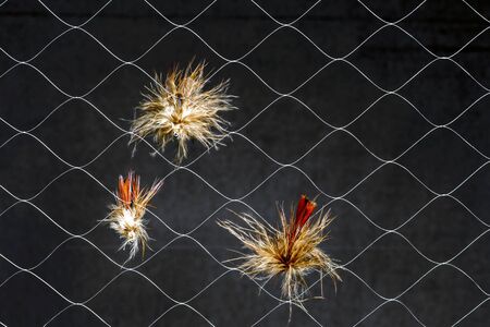 Artificial flies in synthetic web on dark background. The concept of similarity of real insect...