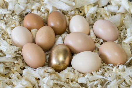 A Golden metal egg among chicken eggs in a nest of light wood shavings. Background.の写真素材
