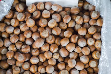 Selected hazelnuts in a polypropylene white bag on the store counter. Background. The view from the top.の写真素材