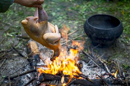 The tourist roasts the whole chicken on an open fire for further cooking in a cast-iron retro pan with other ingredients. The concept of a camp kitchen.の写真素材