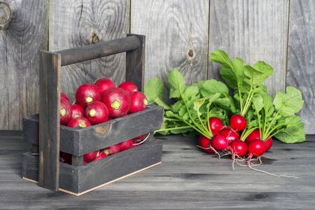 Red radish in a wooden box on the background of a bunch of radish with green tops on a wooden background. The concept of sustainability of the farm product.の写真素材