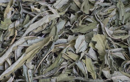 Dried green leaves of Ivan tea oval shape close-up. Background.の写真素材