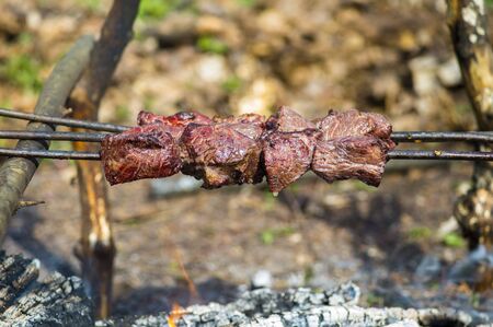 Juicy pieces of meat on skewers made of branches against a background of bright greenery. Background.の写真素材