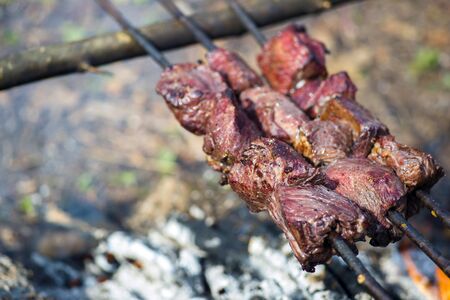Juicy pieces of meat on skewers from branches in the campaign. Background. Copy space.の写真素材