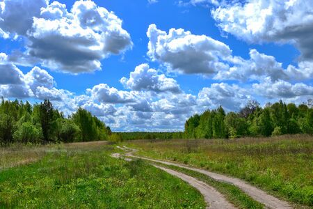 Summer landscape of a green field with a dirt road going into the distance against the background of a green forest and a picturesque sky with white clouds. Background.の写真素材