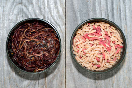 Fly larvae and compost worms in open fishing boxes on a wooden rustic background.