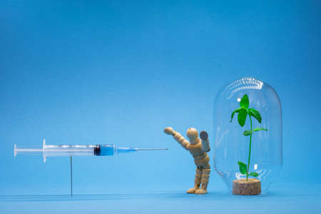 Abstract concept of refusal of mass vaccination of the population. A man protects his immune system in the form of a green sprout in a flask from a vaccine with a syringe with a drop of solution.の写真素材