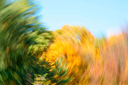 Blurred abstract background of autumn leaves on trees in motion. The concept of rotation in nature in autumnの写真素材