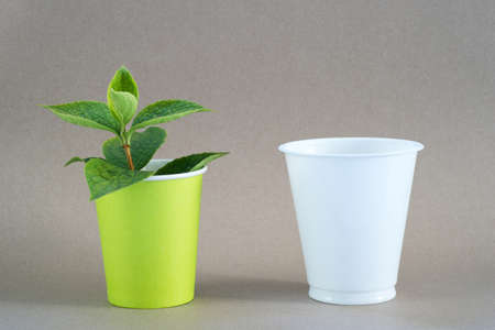 Green sprout in a paper Cup and a plastic white Cup. The concept of replacing plastic and polypropylene with alternative types of packaging, as well as the use of biodegradable technology.の写真素材