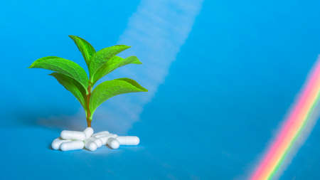 A green sprout on a pile of white pills in two natural light streams and a rainbow light element on a blue background.の写真素材