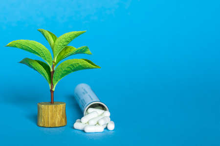 A green sprout in an oak branch and a bottle with a bunch of white capsules of pills on a blue background.の写真素材
