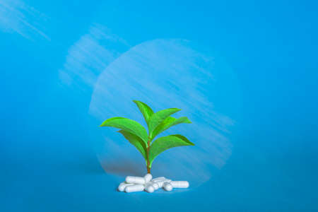 Green sprout on a pile of white pills in a natural circle of light and natural light flow on a blue background. The concept of immune protection and a panacea of a new approach to healing.の写真素材