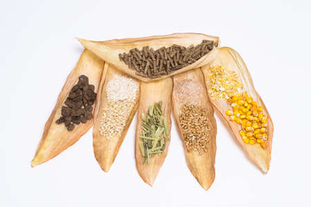 Granulated dry food with vegetable grain components and their crushed fraction on dry corn leaves on a white background. The concept of a composition of pellets for feeding farm animals and fish.の写真素材