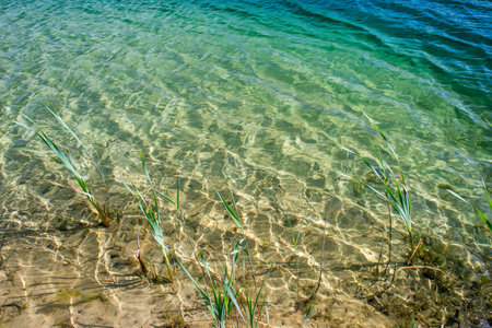 Clear clear water of the lake with a turquoise hue on a sandy beach. The natural backgroundの写真素材