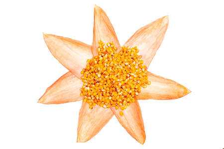 A handful of yellow corn kernels are scattered on dried corn leaves in the shape of a flower isolated on a white background.の写真素材