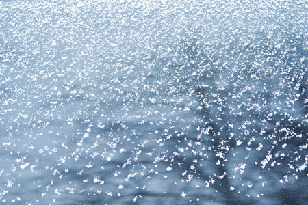 Grains of snow on the glass with the reflection of tree branches. The natural background.の写真素材
