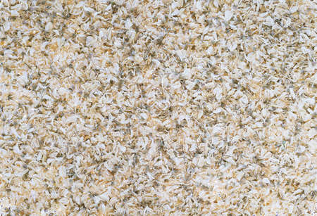 Organic texture of dried light petals with green seeds. Highlighted backgroundの写真素材