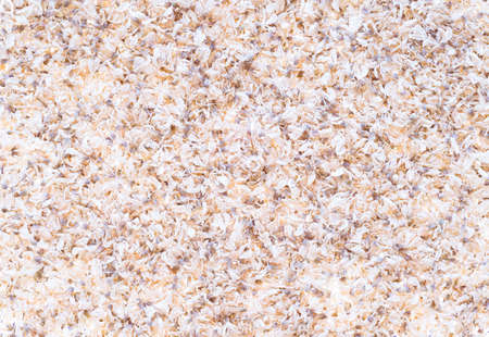 Abstract low-contrast organic texture of dried light petals in a beige-pink tone. Highlighted backgroundの写真素材