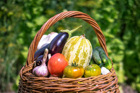A wicker basket close-up with zucchini, eggplant, cucumbers, onions, garlic, red and green tomatoes...