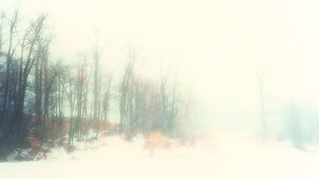 blurred. Winter landscape of an oak grove during a snowfall. background.の写真素材