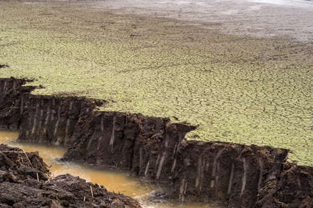 A dug trench with water on the background of a dried cracked bottom with remnants of green algae....