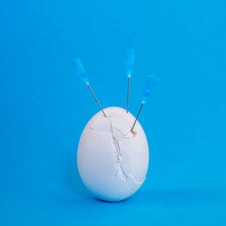 White egg close-up in cracks with needles on a blue background. The concept of the threat of weakened immunity in vaccinated youth.の写真素材