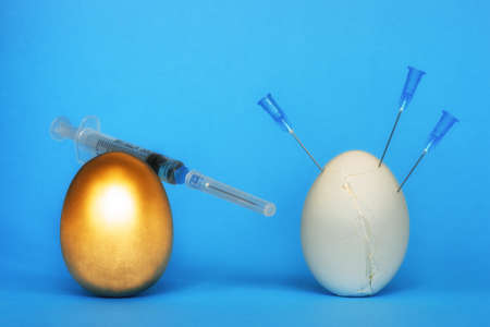 A metallic golden egg and a white chicken in cracks and needles from syringes and a syringe on a blue background. The concept of probable weakening of immunity in young people after vaccinations.の写真素材