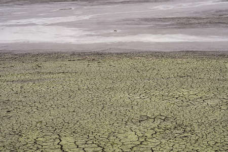 Cracked earth with remnants of silt and frozen water in the background. natural background.の写真素材