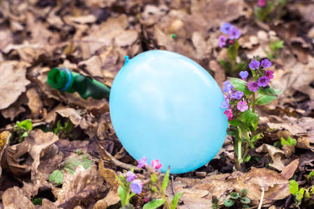 A blue air balloon and a green plastic bottle close-up with spring primroses on the background of last year's foliage. The concept of pollution of nature by polymer industries. selective focus.の写真素材