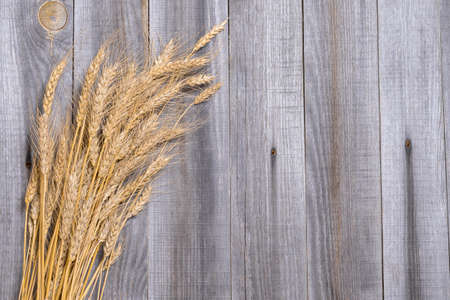 Dry yellow ears of wheat on a wooden rustic gray background. Background design conceptの写真素材