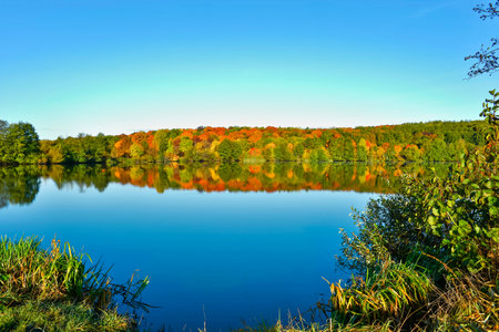 Autumn landscape of early autumn with blue lake water against the background of bright forest foliage and clear sky.の写真素材