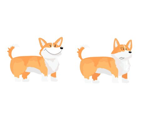 Vector set of cute  welsh corgi dogs in different emotions.  Isolated  illustrations on white background. Cartoon style.のイラスト素材