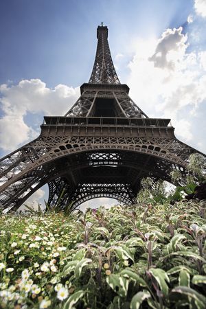 view of the eiffel tower with flowers in the front