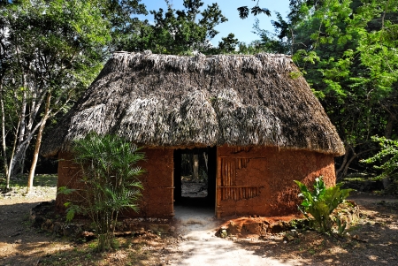 mayan homeのeditorial素材