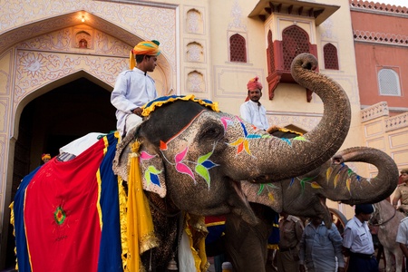Jaipur, Rajasthan,India - March 29   people and elephants of the city are celebrating the gangaur...