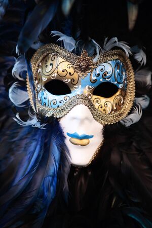 wonderful fashion show of disguised people during the venice carnival in italy
のeditorial素材