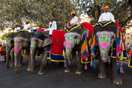Jaipur, Rajasthan,India - March 29   people and elephants of the city are celebrating the gangaur...