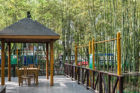 Shanghai, China - April 7, 2013: public shelter surrounded by bamboo trees  in gucheng park at the city of Shanghai in China on april 7th, 2013のeditorial素材
