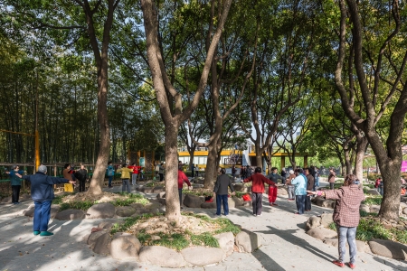 Shanghai, China - April 7, 2013: group of people exercising in gucheng park  at the city of Shanghai in China on april 7th, 2013のeditorial素材