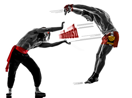 two mangas video games martials arts fighters fighting combat in silhouettes on white backgroundの写真素材